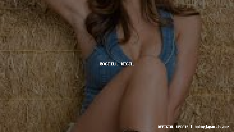 bociill kecil bociill kecil