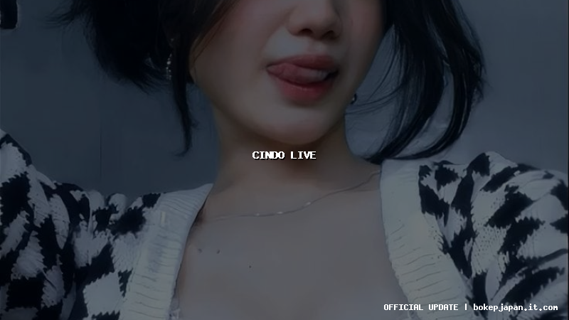cindo live